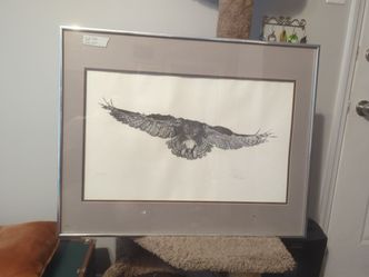 Owl In Flight drawing Artwork