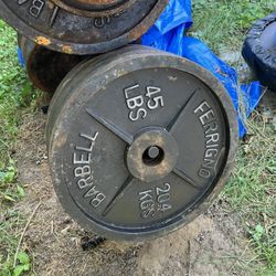 Vintage 45lb weights