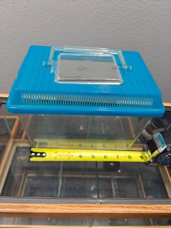 Mini terrarium/cricket keeper