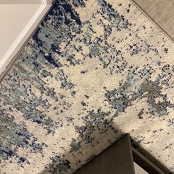 5x7 Area Rug Gently Used