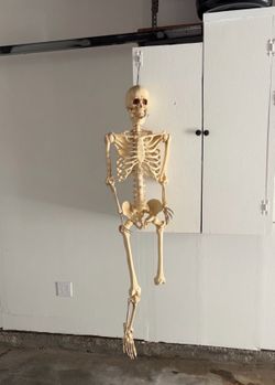 Skeleton