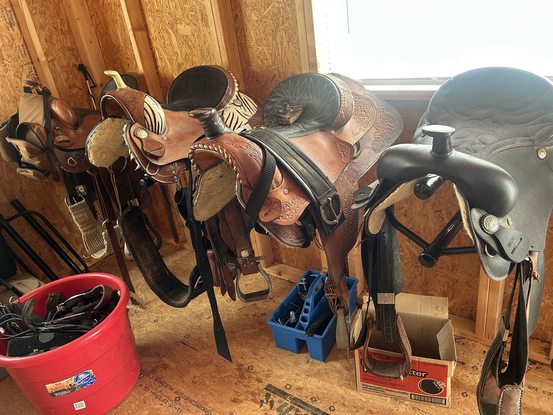 Saddles And Accessories