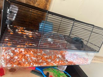 Hamster cage