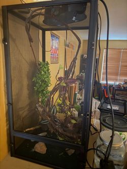 Chameleon enclosure