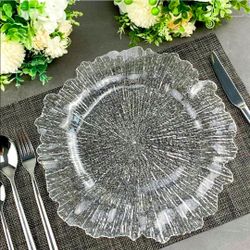 12 Pack Reef Charger Plates for Dinner Plates Plastic Round 13 inch