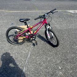 Kids Mountain Bike