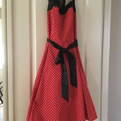 Halloween Costume 50’s Dress