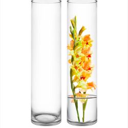 4 - 26” Tall Glass Vases