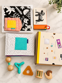 Lovevery Toy Box