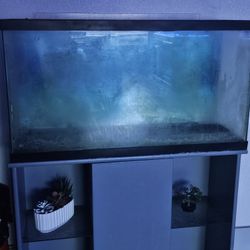 Aquarium 36 Gallons  with a stand