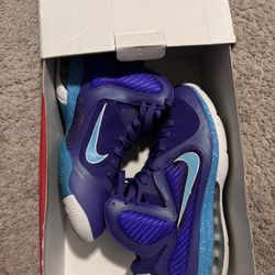 Nike LeBron 9 Summit Hornets Size 10 Men’s 