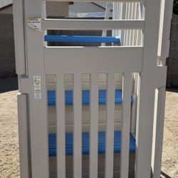 Pool Ladder With Latching Gate
