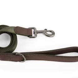 Reddy Olive Jacquard Dog Leash, 6 ft.