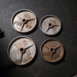Weight Plates deep dish