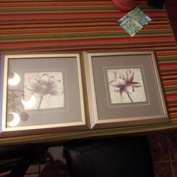 Purple Flowers Frames.