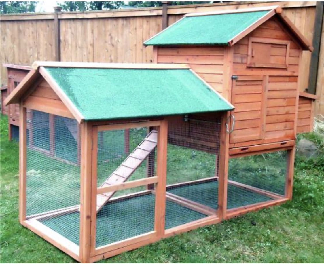 Chicken Coop, Predator Proof 