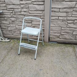 2 step ladder $20