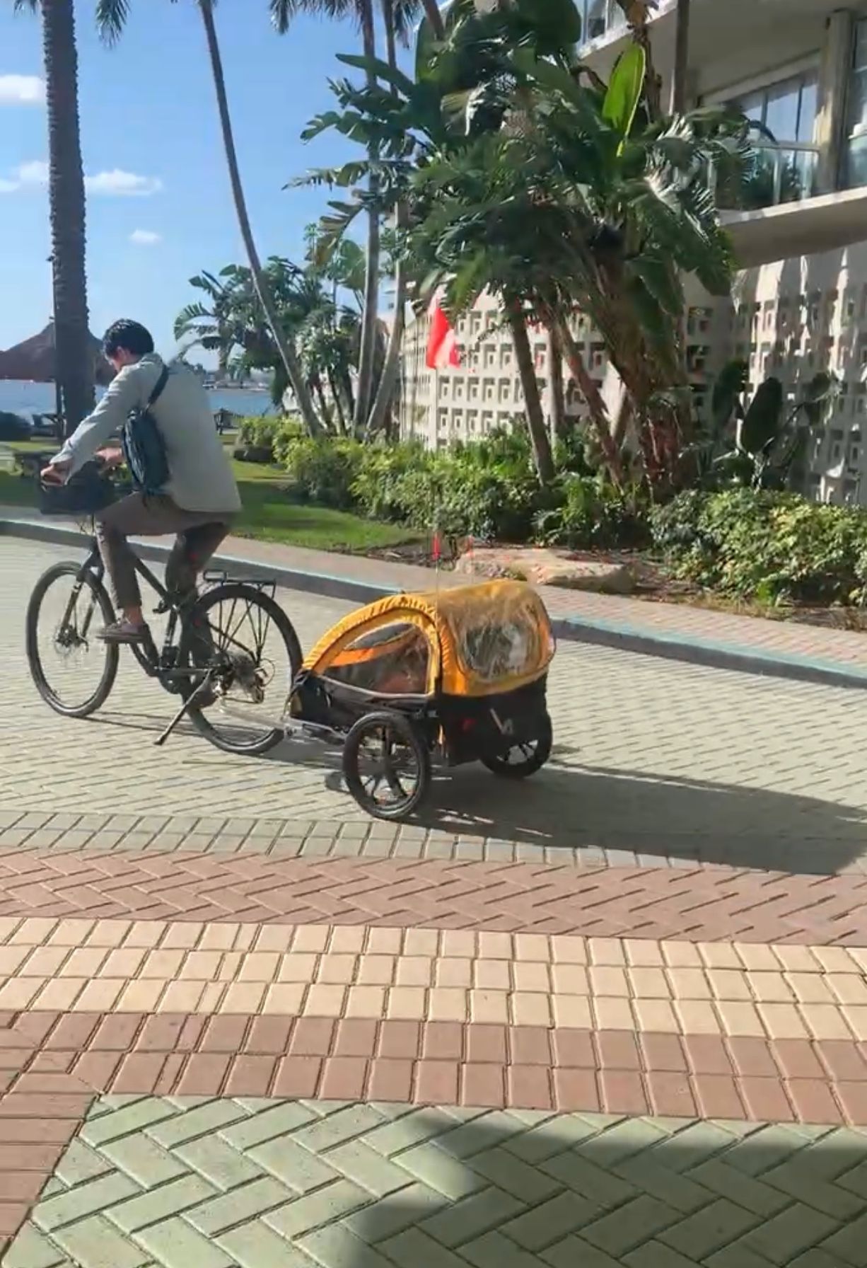 Bike Trailer Retrospec For Two