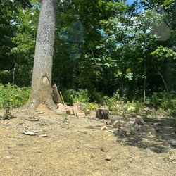Fire Wood