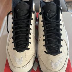 Air Zoom Flight 95 SZ 10 Orewood, I Call Them The Infinity Stones Cash Only