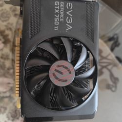 Video Card & RAM