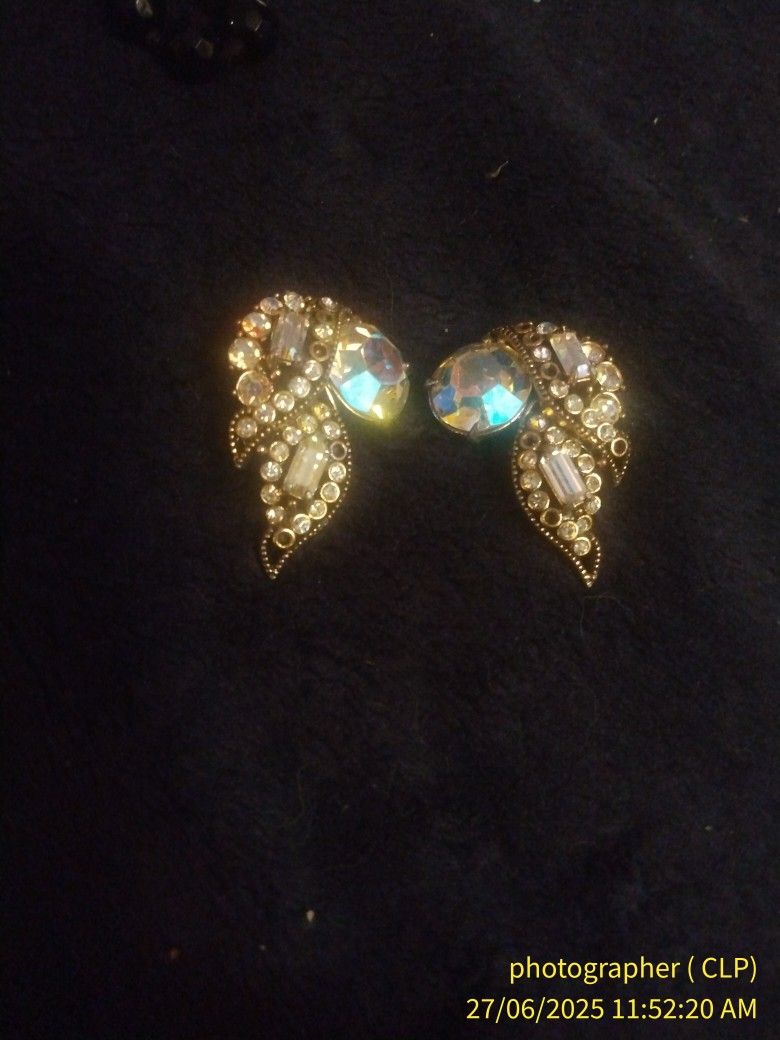 Vintage Earrings