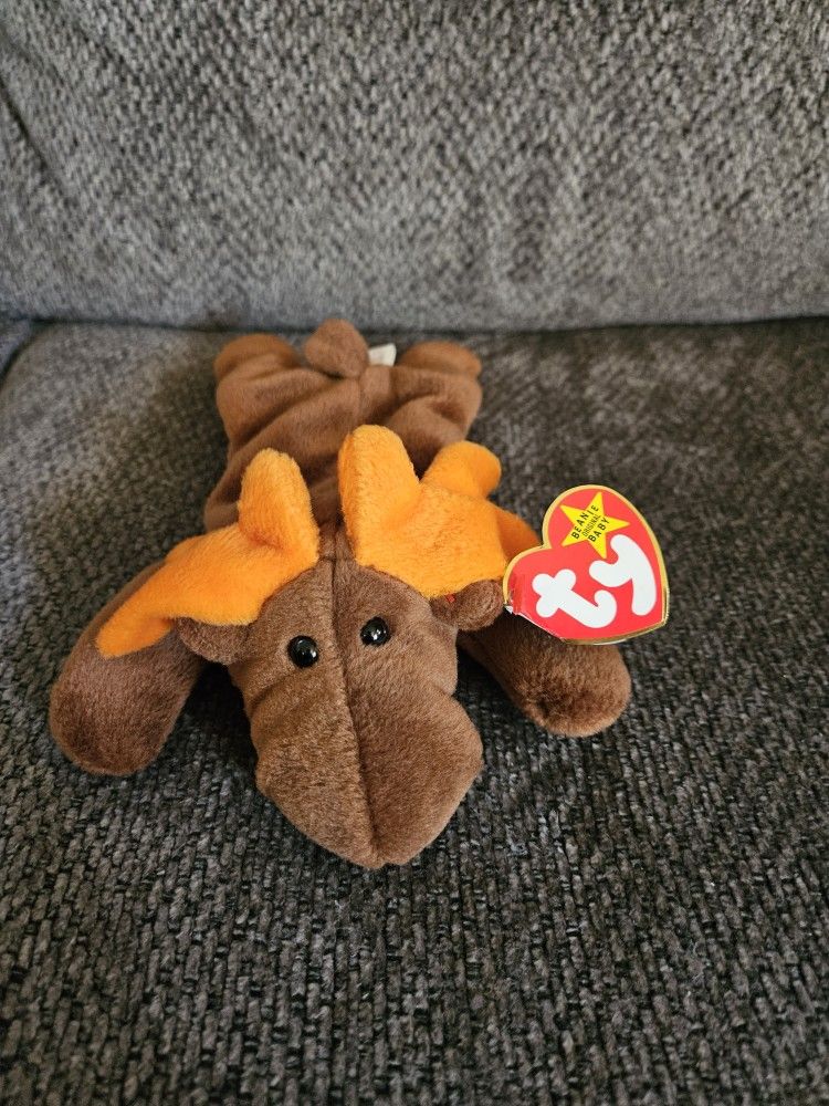 Moose Beanie Baby