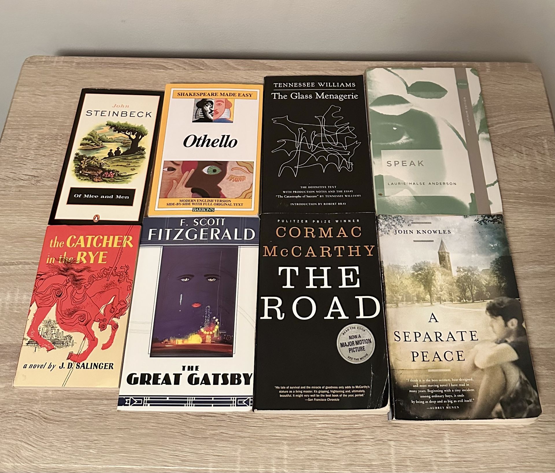 8 Used Classic High School/College Level Literature Novels
