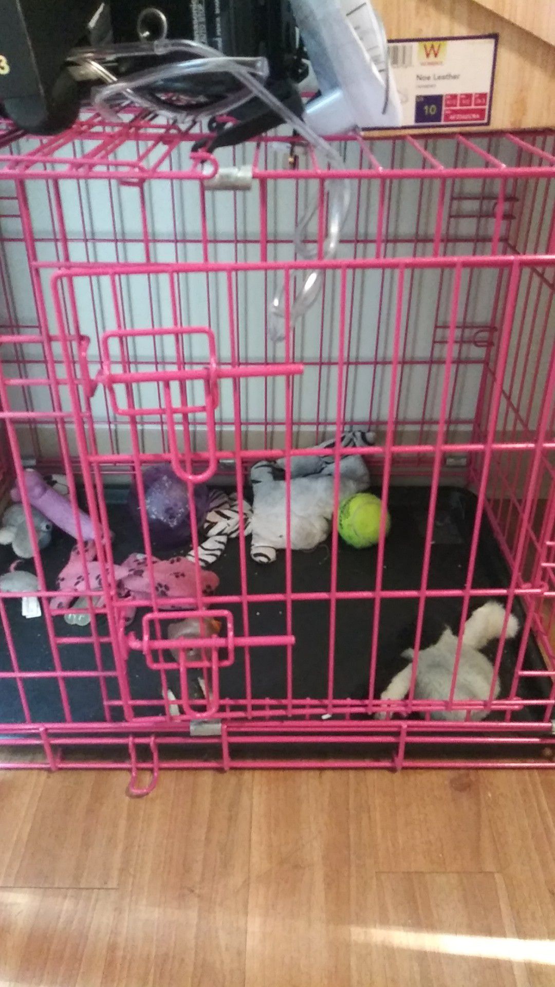 Pink dog cage