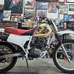XR 200 - XR80