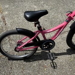 Tag Along Bike