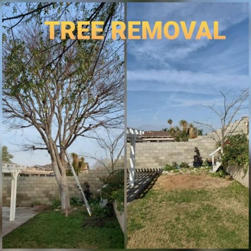 Stump Grinding Messge, Tree messge