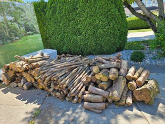Dry cedar