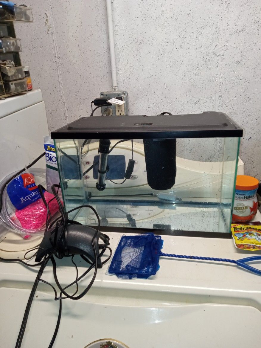 5 Gallon Aquarium Setup