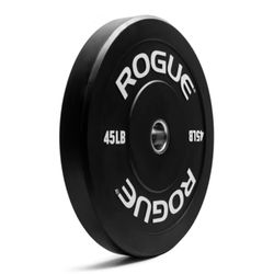 Rogue Echo Bumper Plate V2 (45lb)
