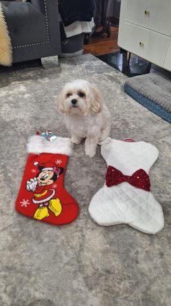 CHRISTMAS  STOCKING  $7 EACH 