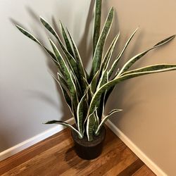 Faux plant Snake Plant 3ft Tall Faux 