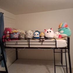 Stuffed Animals