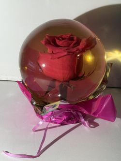Pink Rose Globe