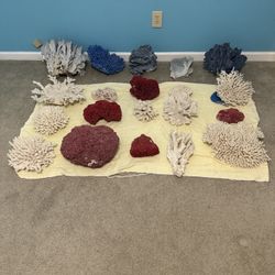 Natural Coral