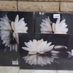 Zen Wall Art Black Stones 16x24