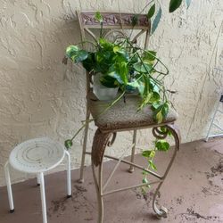 Plants $5 Chair $7