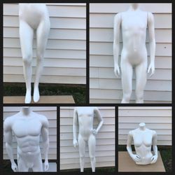MANIKINS ALL SIZES