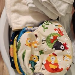 Reusable  Diapers 