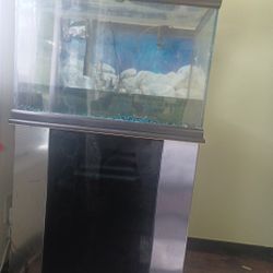 fish tank 