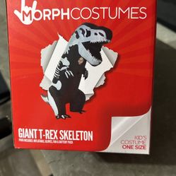 Costume