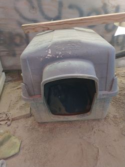 Dog House