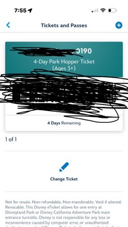 4 Day Disney Pass Park Hopper 