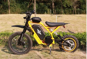 Freego Nova 2: The Bold New Youth Electric Dirt Bike Designed