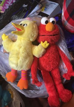 Eleo and yellow bird